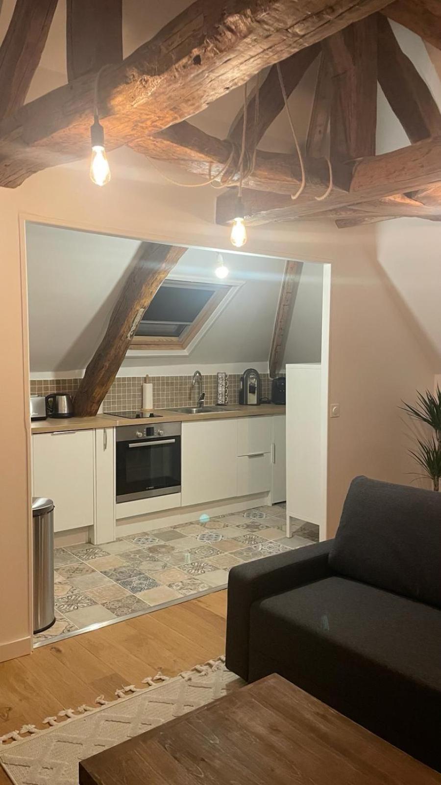Appartement Aeroport Orly อติส-มงส์ ภายนอก รูปภาพ